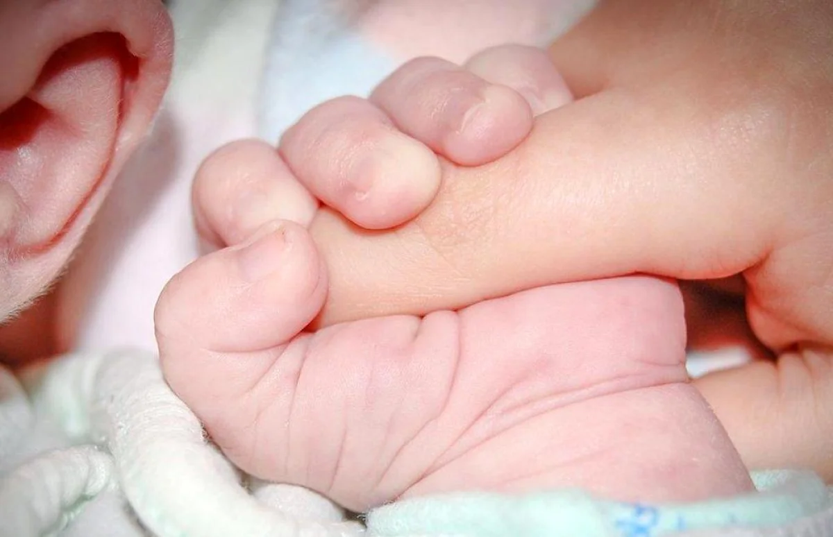 Фото из доступных источников