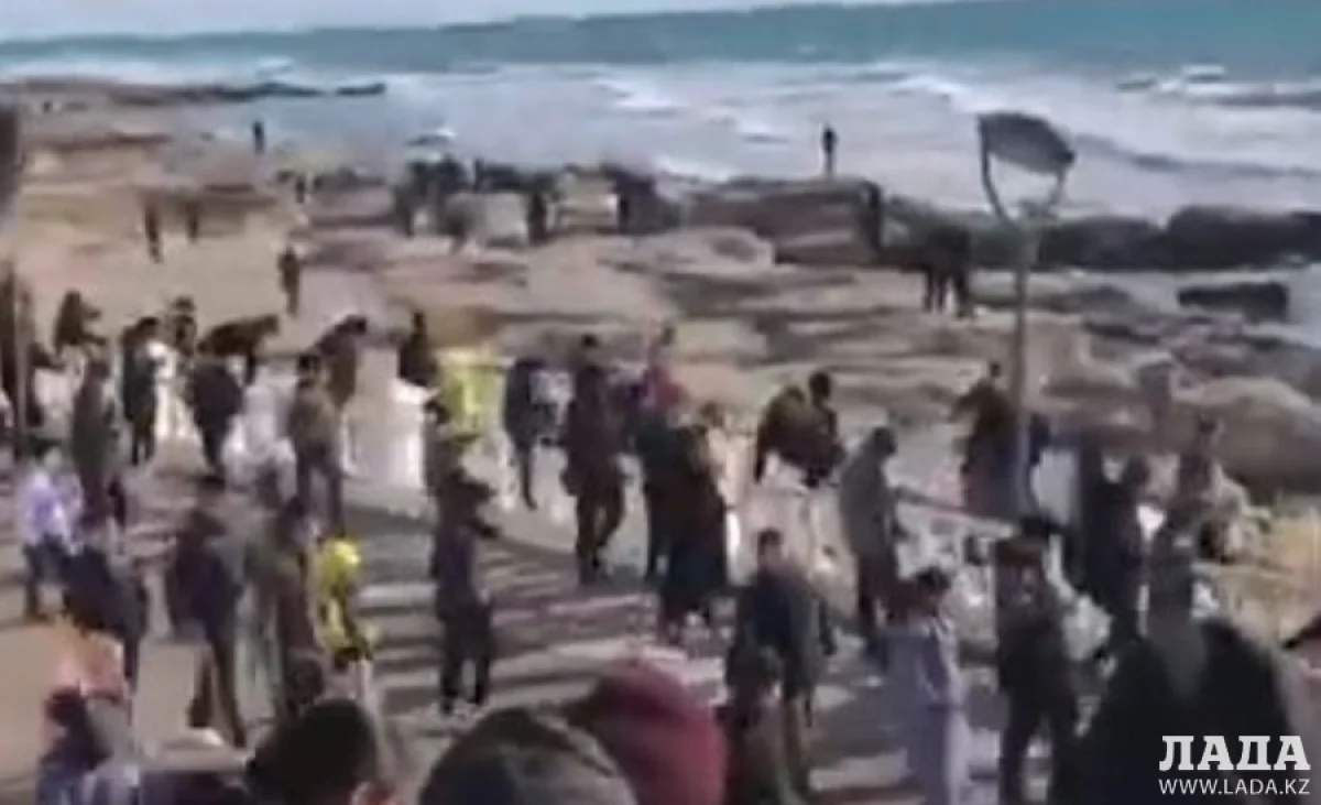 Скриншот с видео. Видео пользователя сайта Lada.kz