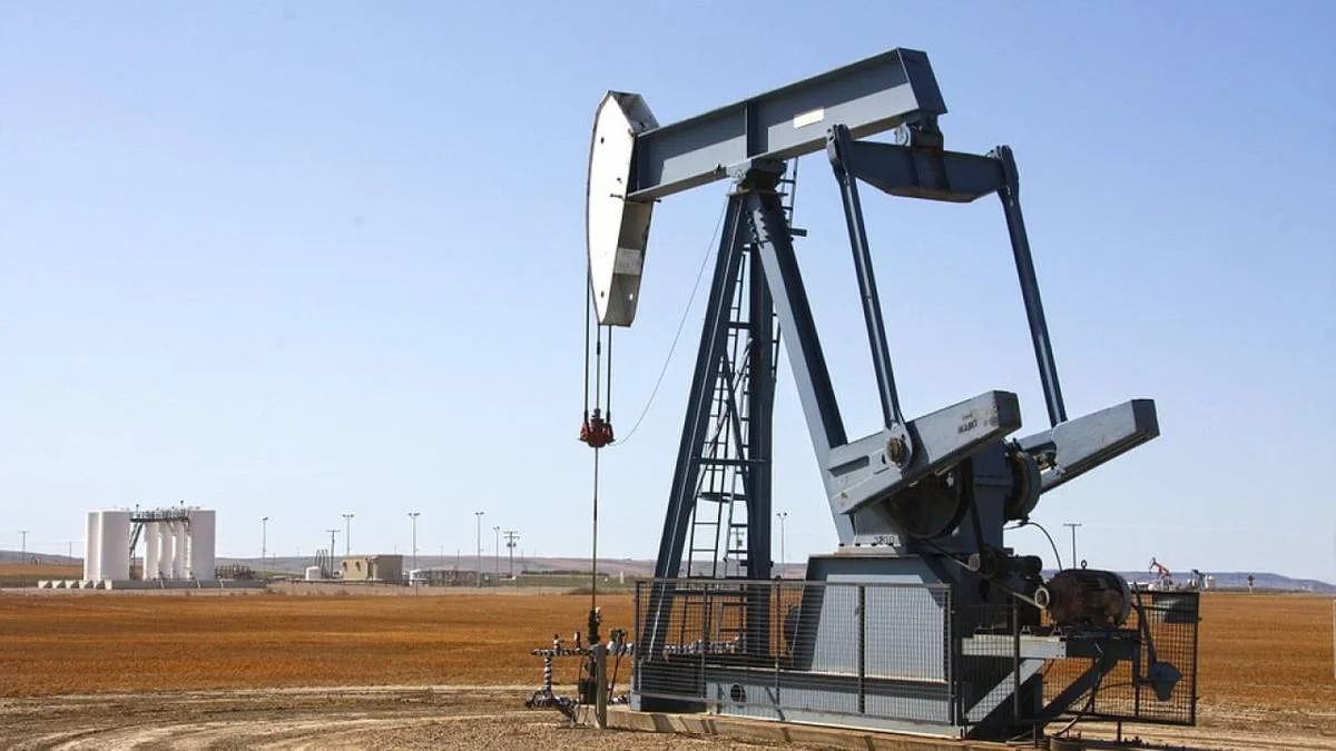 Фото из доступных источников