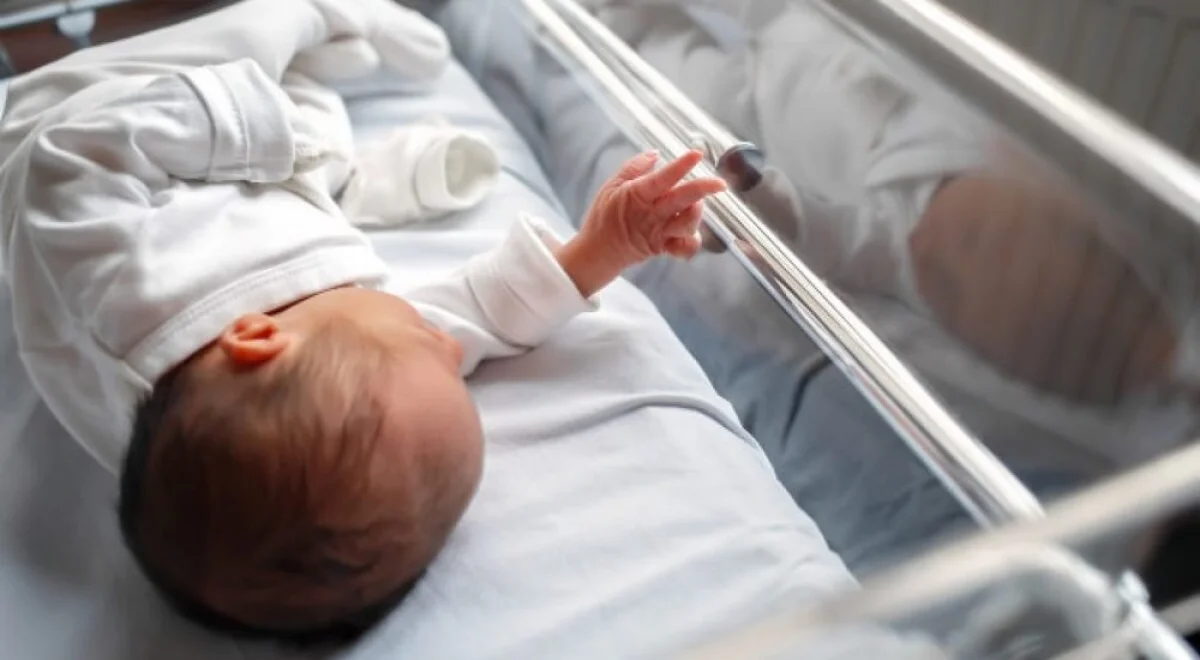 Фото из Сети интернет