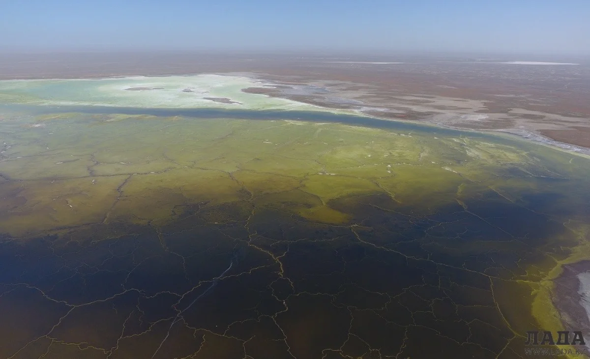 Фото из архива «Лады»