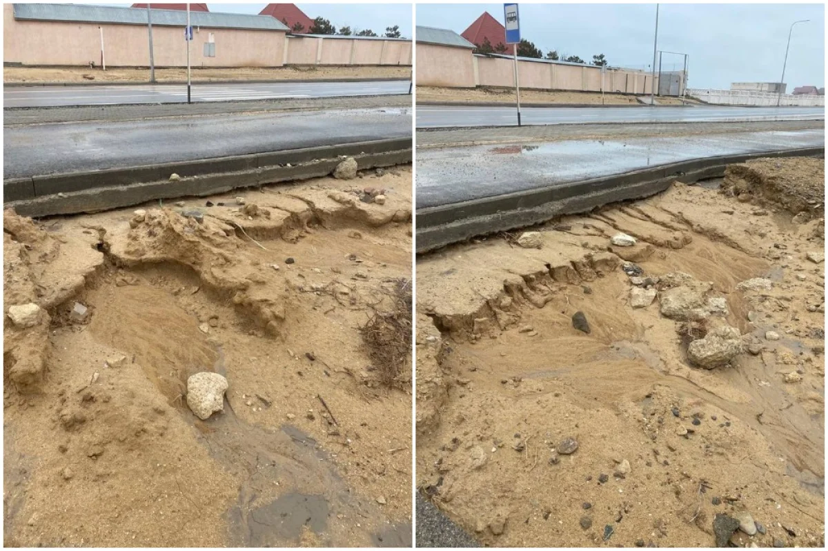 Коллаж из фото пользователя Lada.kz