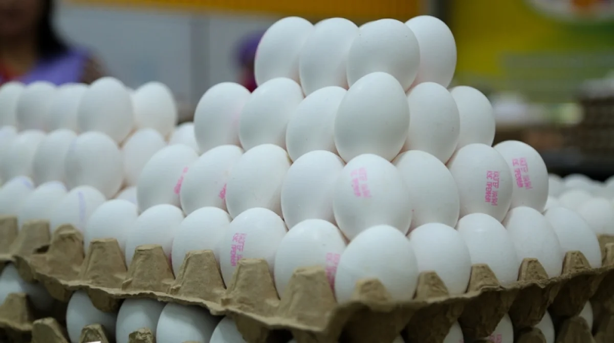 Фото из доступных источников