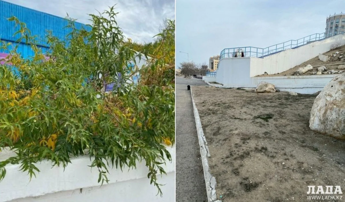 Фото предоставила горожанка Наталья