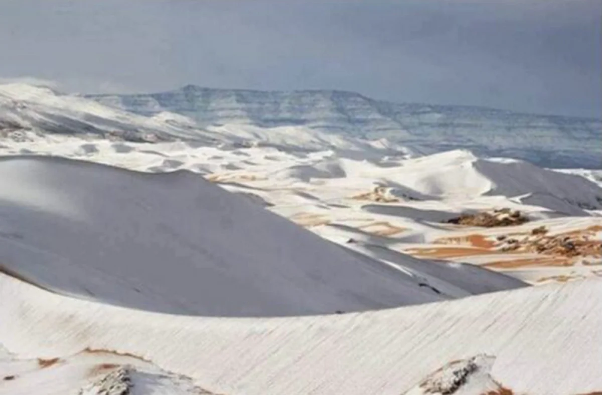 Фото с сайта prisursky.ru||news_pic_more|<!--TBegin--><a href="https://www.lada.kz/uploads/posts/2021-03/1616733889_img16166564453914.jpg" onclick="return hs.expand(this)" ><img align="left" src="https://www.lada.kz/uploads/posts/2021-03/thumbs/1616733889_img16166564453914.jpg" alt='Редкое явление: Мангистауский песок выпал вместе со снегом в Чувашии' title='Редкое явление: Мангистауский песок выпал вместе со снегом в Чувашии'  /></a><!--TEnd--><br /><br /><!--TBegin--><a href="https://www.lada.kz/uploads/posts/2021-03/1616733895_img16166564543748.jpg" onclick="return hs.expand(this)" ><img align="left" src="https://www.lada.kz/uploads/posts/2021-03/thumbs/1616733895_img16166564543748.jpg" alt='Редкое явление: Мангистауский песок выпал вместе со снегом в Чувашии' title='Редкое явление: Мангистауский песок выпал вместе со снегом в Чувашии'  /></a><!--TEnd--><br /><br /><!--TBegin--><a href="https://www.lada.kz/uploads/posts/2021-03/1616733969_img16166564769755.jpg" onclick="return hs.expand(this)" ><img align="left" src="https://www.lada.kz/uploads/posts/2021-03/thumbs/1616733969_img16166564769755.jpg" alt='Редкое явление: Мангистауский песок выпал вместе со снегом в Чувашии' title='Редкое явление: Мангистауский песок выпал вместе со снегом в Чувашии'  /></a><!--TEnd--><br /><br /><!--TBegin--><a href="https://www.lada.kz/uploads/posts/2021-03/1616734620_img16166564675130.jpg" onclick="return hs.expand(this)" ><img align="left" src="https://www.lada.kz/uploads/posts/2021-03/thumbs/1616734620_img16166564675130.jpg" alt='Редкое явление: Мангистауский песок выпал вместе со снегом в Чувашии' title='Редкое явление: Мангистауский песок выпал вместе со снегом в Чувашии'  /></a><!--TEnd-->