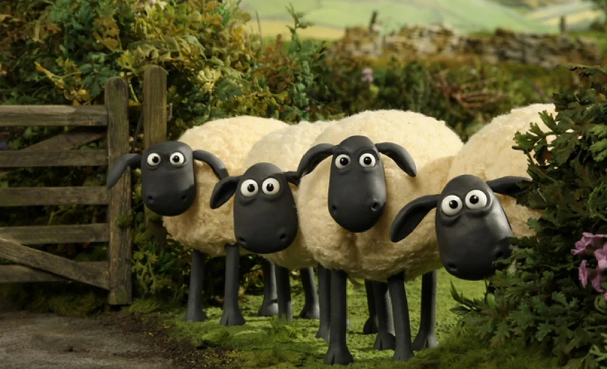 Фото из открытых источников