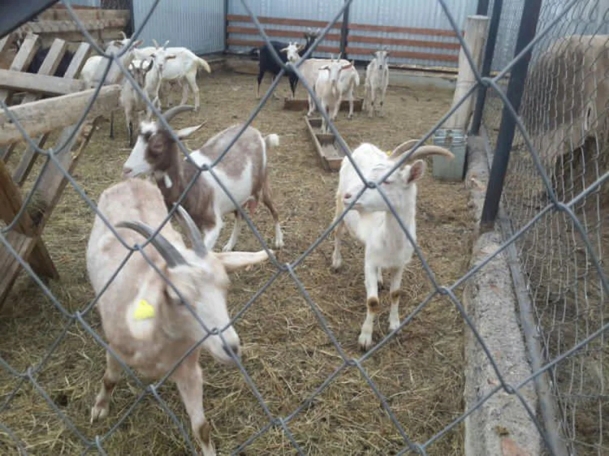 Фото пресс-службы ведомства