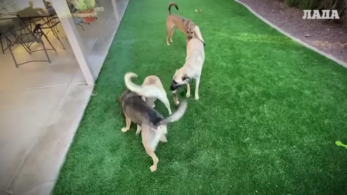 Кадр из видеоматериала