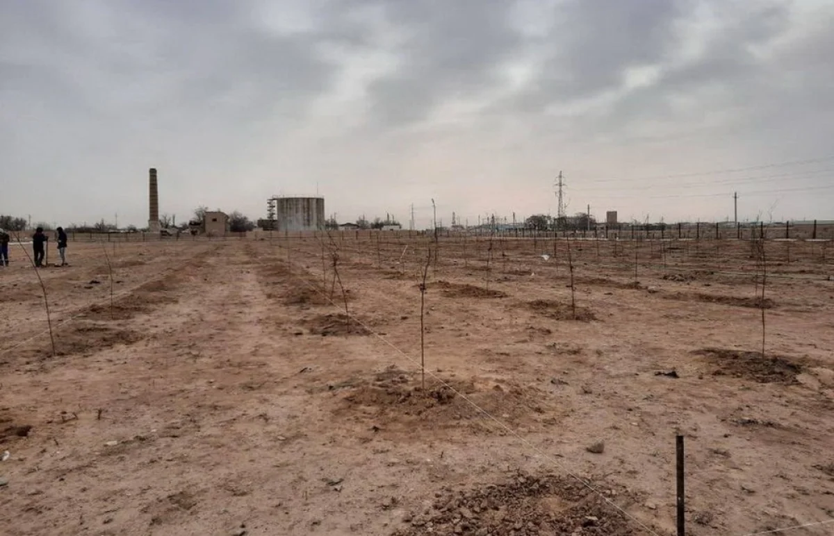 Фото предоставила пресс-служба акима Мангистауской области