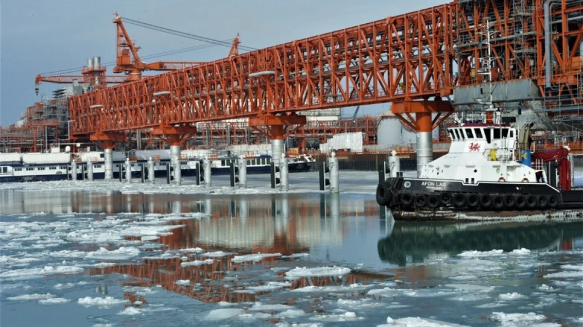 Фото предоставили в NCOC