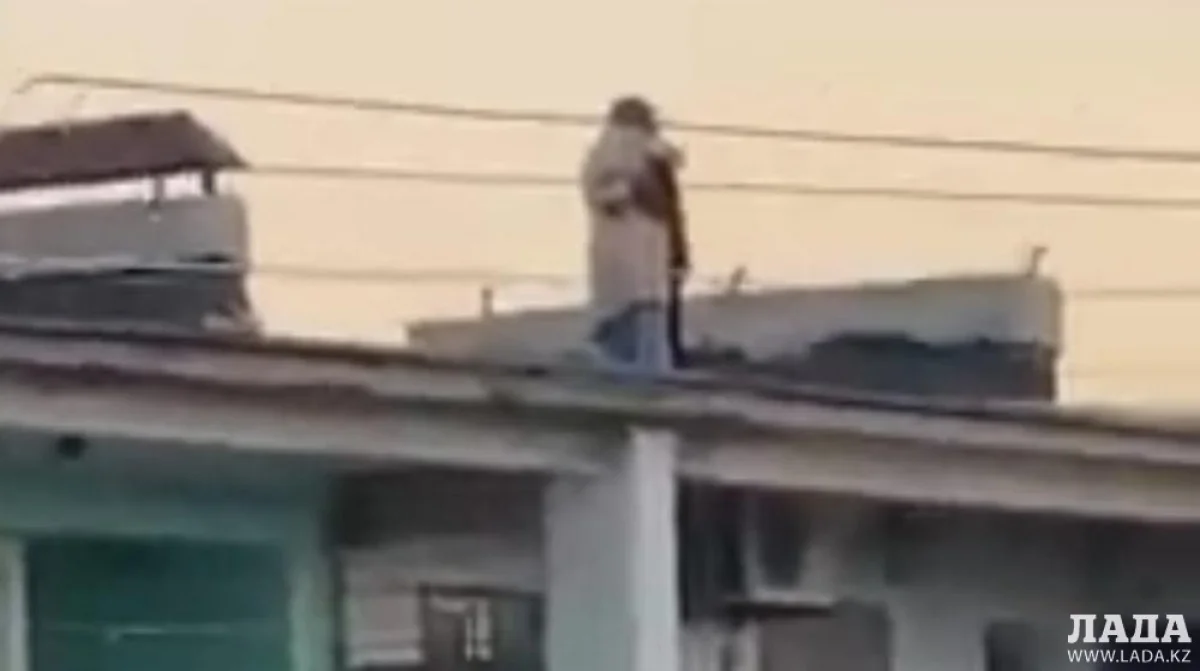 Скрин видео