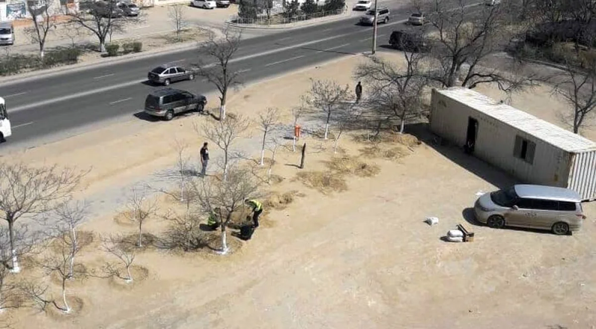 Фото предоставила жительница дома Эвелина