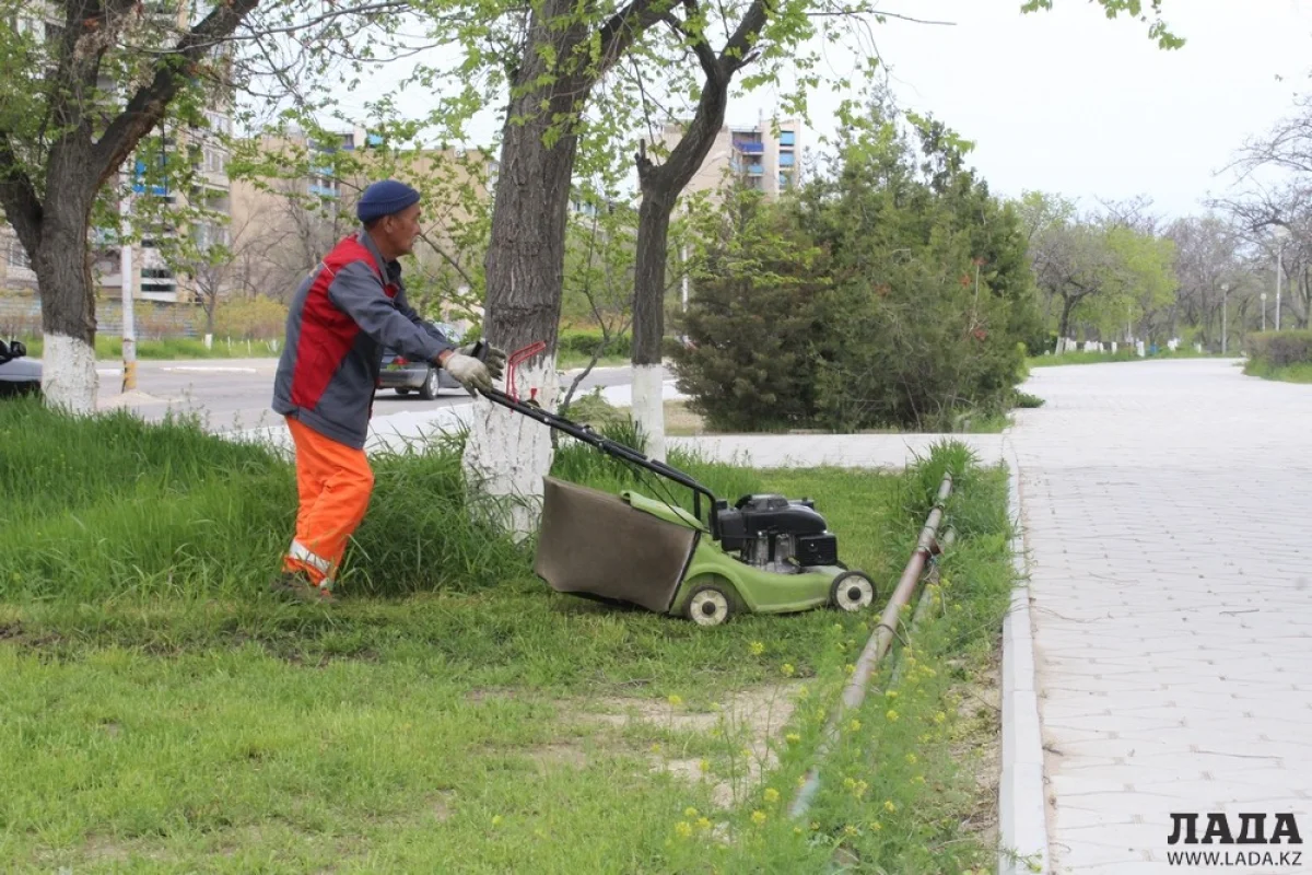 Иллюстративное фото из архива Lada.kz