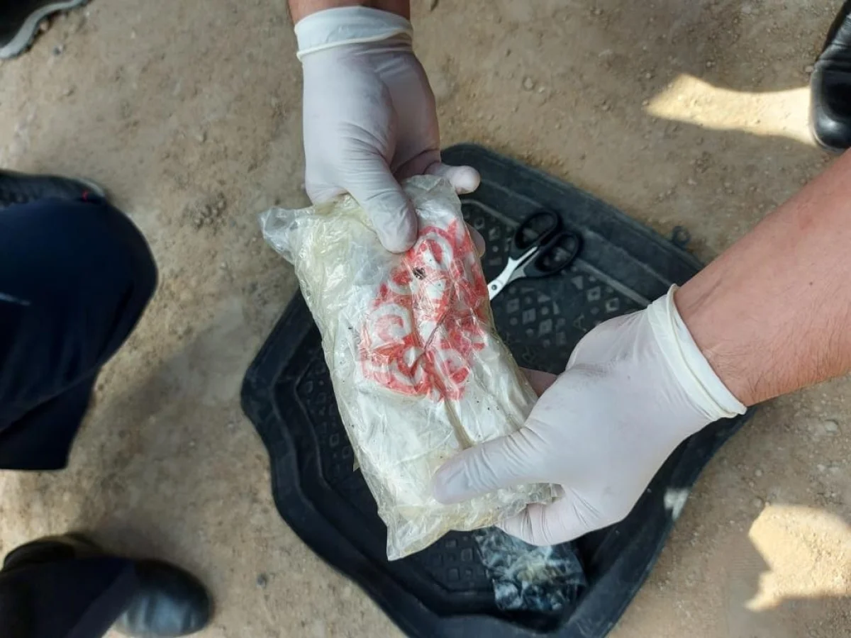 Фото пресс-службы ведомства