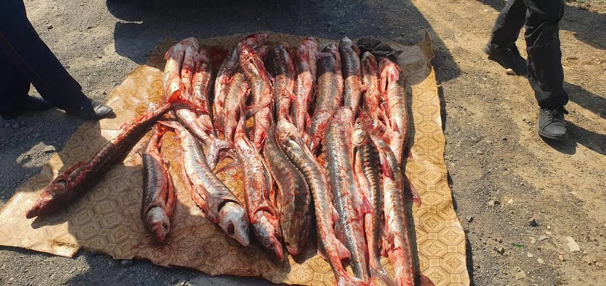 Фото пресс-службы ведомства