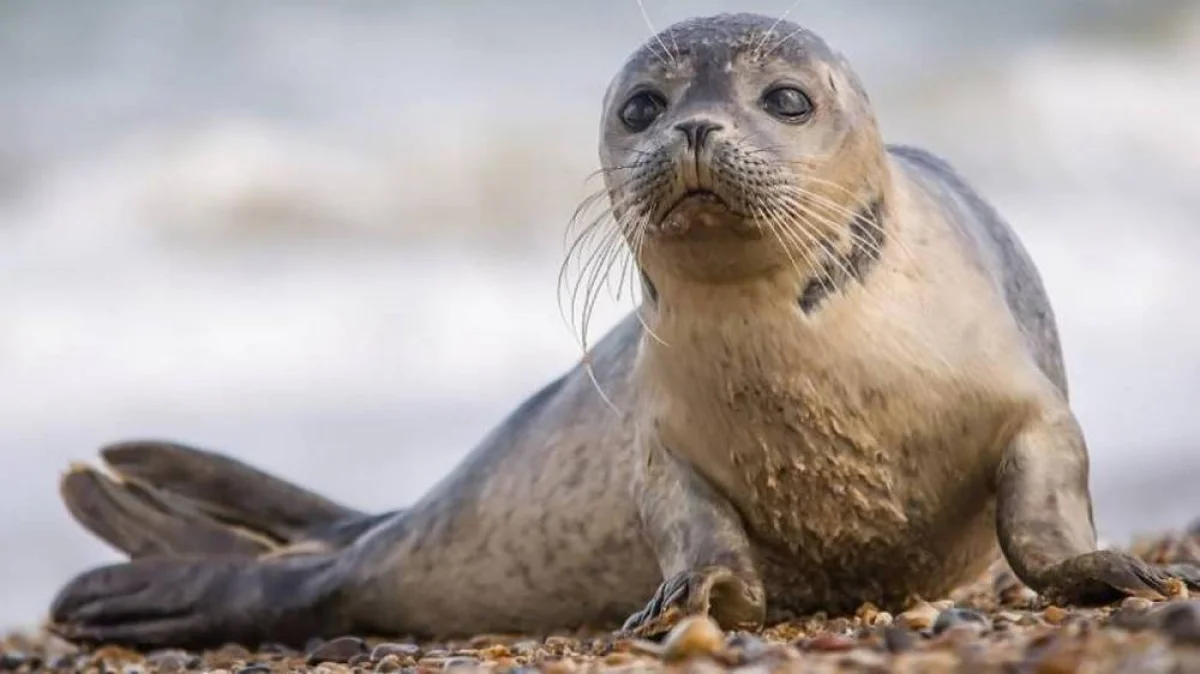 Фото из доступных источников