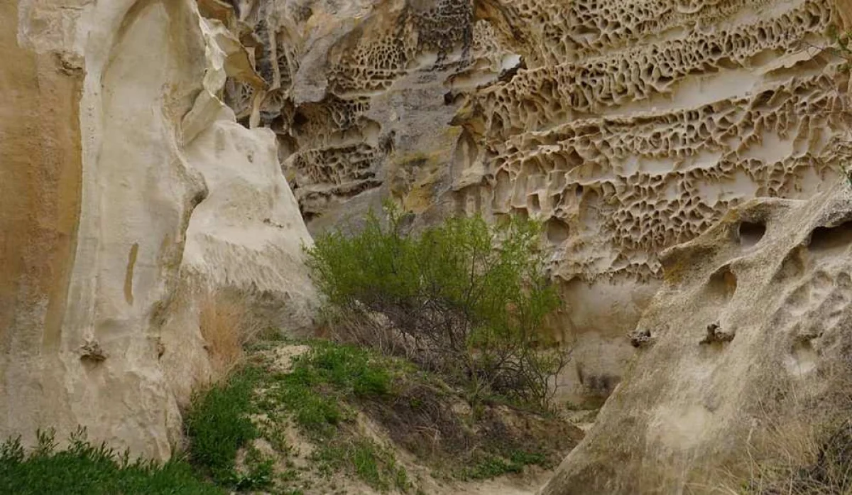 Фото Вячеслава Никишина