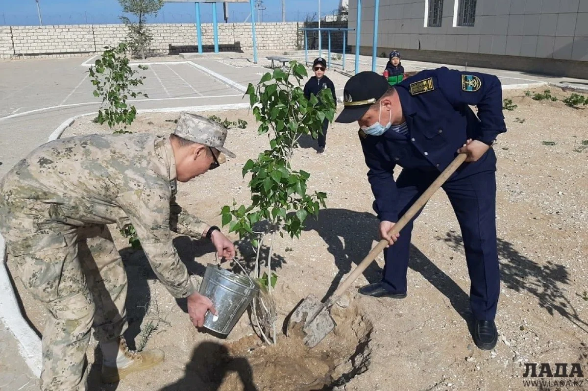 Фото предоставлено департаментом ПС КНБ||news_pic_more|<!--TBegin--><a href="https://www.lada.kz/uploads/posts/2021-04/1619439630_000.jpg" onclick="return hs.expand(this)" ><img align="left" src="https://www.lada.kz/uploads/posts/2021-04/thumbs/1619439630_000.jpg" alt='Пограничники Мангистау высадили порядка 500 саженцев' title='Пограничники Мангистау высадили порядка 500 саженцев'  /></a><!--TEnd--><br /><!--TBegin--><a href="https://www.lada.kz/uploads/posts/2021-04/1619439671_1.jpg" onclick="return hs.expand(this)" ><img align="left" src="https://www.lada.kz/uploads/posts/2021-04/thumbs/1619439671_1.jpg" alt='Пограничники Мангистау высадили порядка 500 саженцев' title='Пограничники Мангистау высадили порядка 500 саженцев'  /></a><!--TEnd--><br /><!--TBegin--><a href="https://www.lada.kz/uploads/posts/2021-04/1619439666_2.jpg" onclick="return hs.expand(this)" ><img align="left" src="https://www.lada.kz/uploads/posts/2021-04/thumbs/1619439666_2.jpg" alt='Пограничники Мангистау высадили порядка 500 саженцев' title='Пограничники Мангистау высадили порядка 500 саженцев'  /></a><!--TEnd--><br /><!--TBegin--><a href="https://www.lada.kz/uploads/posts/2021-04/1619439709_4.jpg" onclick="return hs.expand(this)" ><img align="left" src="https://www.lada.kz/uploads/posts/2021-04/thumbs/1619439709_4.jpg" alt='Пограничники Мангистау высадили порядка 500 саженцев' title='Пограничники Мангистау высадили порядка 500 саженцев'  /></a><!--TEnd--><br /><!--TBegin--><a href="https://www.lada.kz/uploads/posts/2021-04/1619439693_5.jpg" onclick="return hs.expand(this)" ><img align="left" src="https://www.lada.kz/uploads/posts/2021-04/thumbs/1619439693_5.jpg" alt='Пограничники Мангистау высадили порядка 500 саженцев' title='Пограничники Мангистау высадили порядка 500 саженцев'  /></a><!--TEnd--><br /><!--TBegin--><a href="https://www.lada.kz/uploads/posts/2021-04/1619439678_6.jpg" onclick="return hs.expand(this)" ><img align="left" src="https://www.lada.kz/uploads/posts/2021-04/thumbs/1619439678_6.jpg" alt='Пограничники Мангистау высадили порядка 500 саженцев' title='Пограничники Мангистау высадили порядка 500 саженцев'  /></a><!--TEnd--><br /><!--TBegin--><a href="https://www.lada.kz/uploads/posts/2021-04/1619439747_8.jpg" onclick="return hs.expand(this)" ><img align="left" src="https://www.lada.kz/uploads/posts/2021-04/thumbs/1619439747_8.jpg" alt='Пограничники Мангистау высадили порядка 500 саженцев' title='Пограничники Мангистау высадили порядка 500 саженцев'  /></a><!--TEnd--><br /><!--TBegin--><a href="https://www.lada.kz/uploads/posts/2021-04/1619439674_9.jpg" onclick="return hs.expand(this)" ><img align="left" src="https://www.lada.kz/uploads/posts/2021-04/thumbs/1619439674_9.jpg" alt='Пограничники Мангистау высадили порядка 500 саженцев' title='Пограничники Мангистау высадили порядка 500 саженцев'  /></a><!--TEnd-->