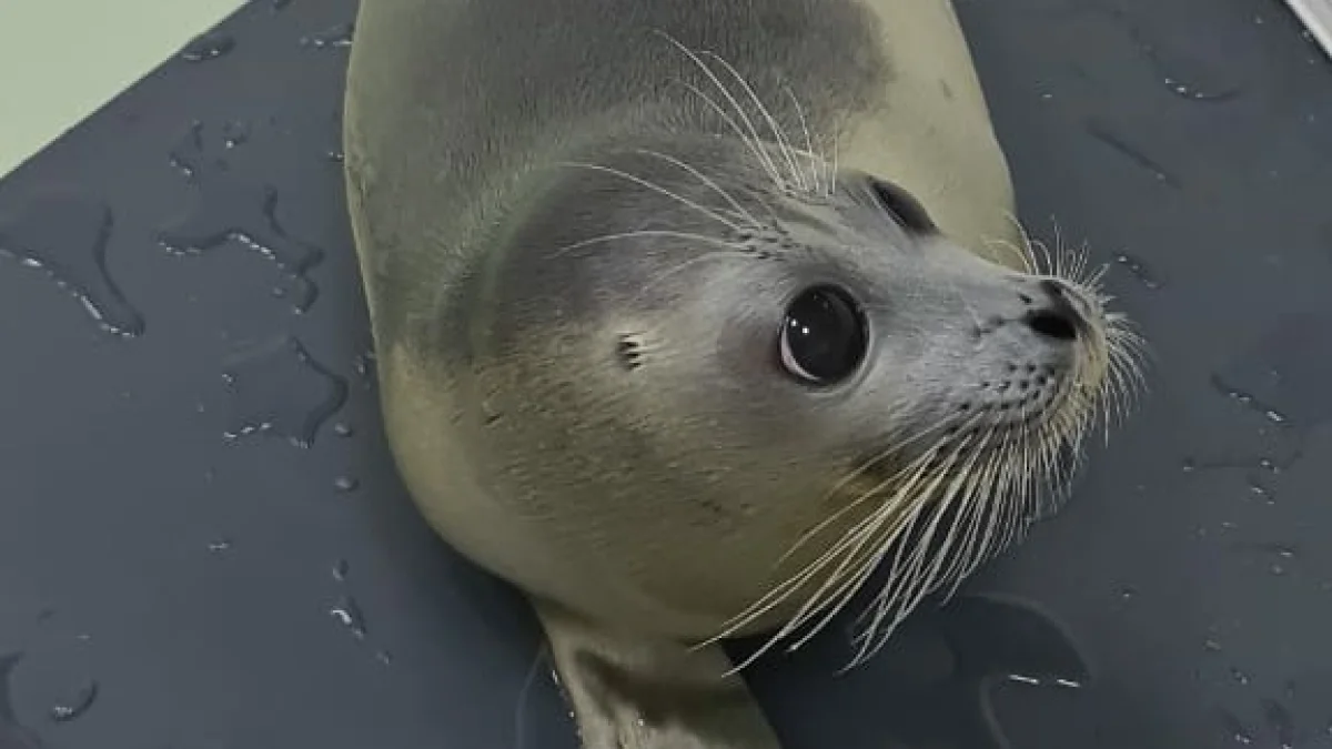 Фото пресс-службы КНБ РК