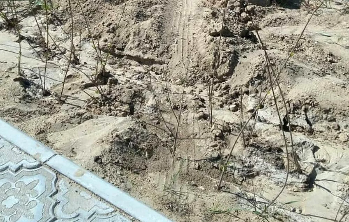 Фото Валерии Мельниковой