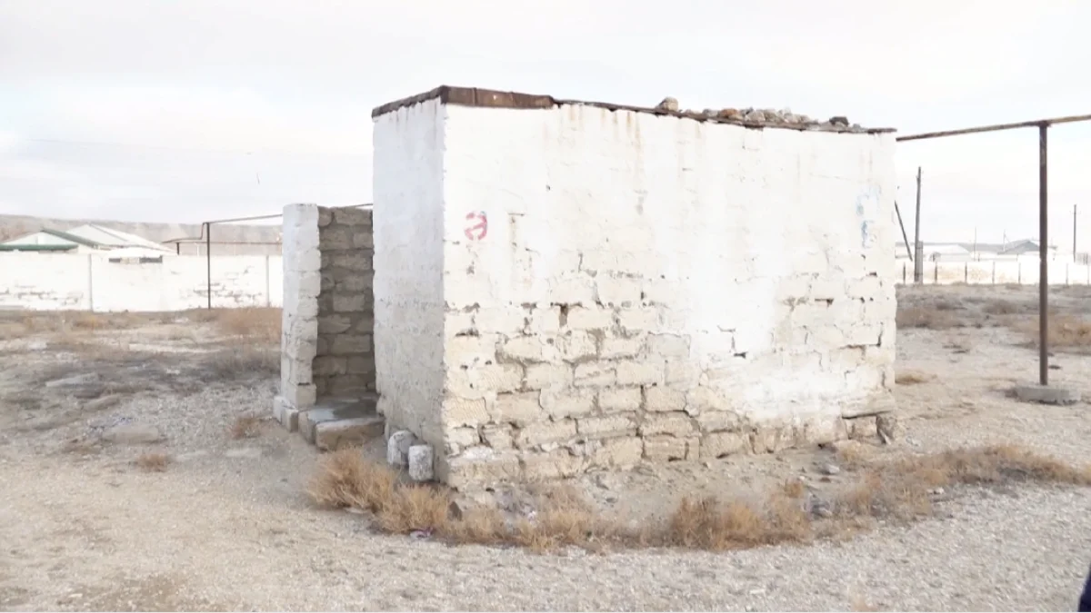 Фото из доступных источников