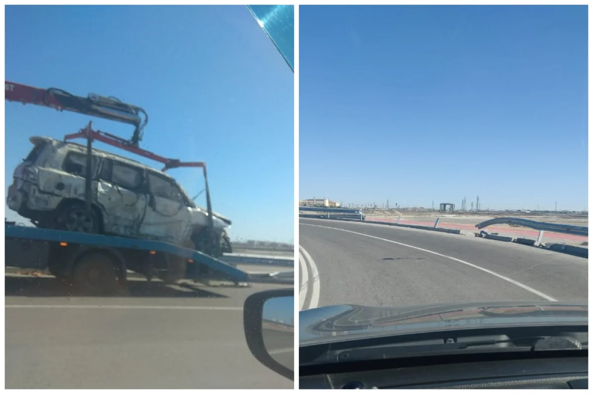 Коллаж из фото пользователей Сети