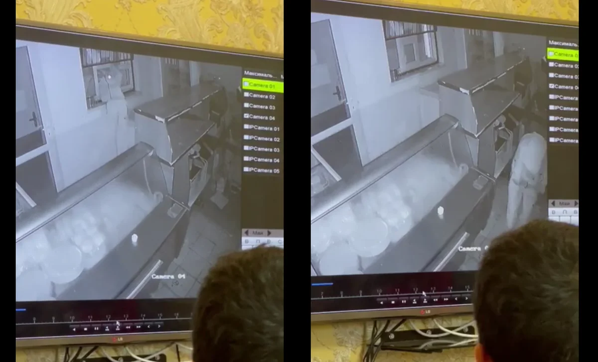 Коллаж из кадров видеоматериала