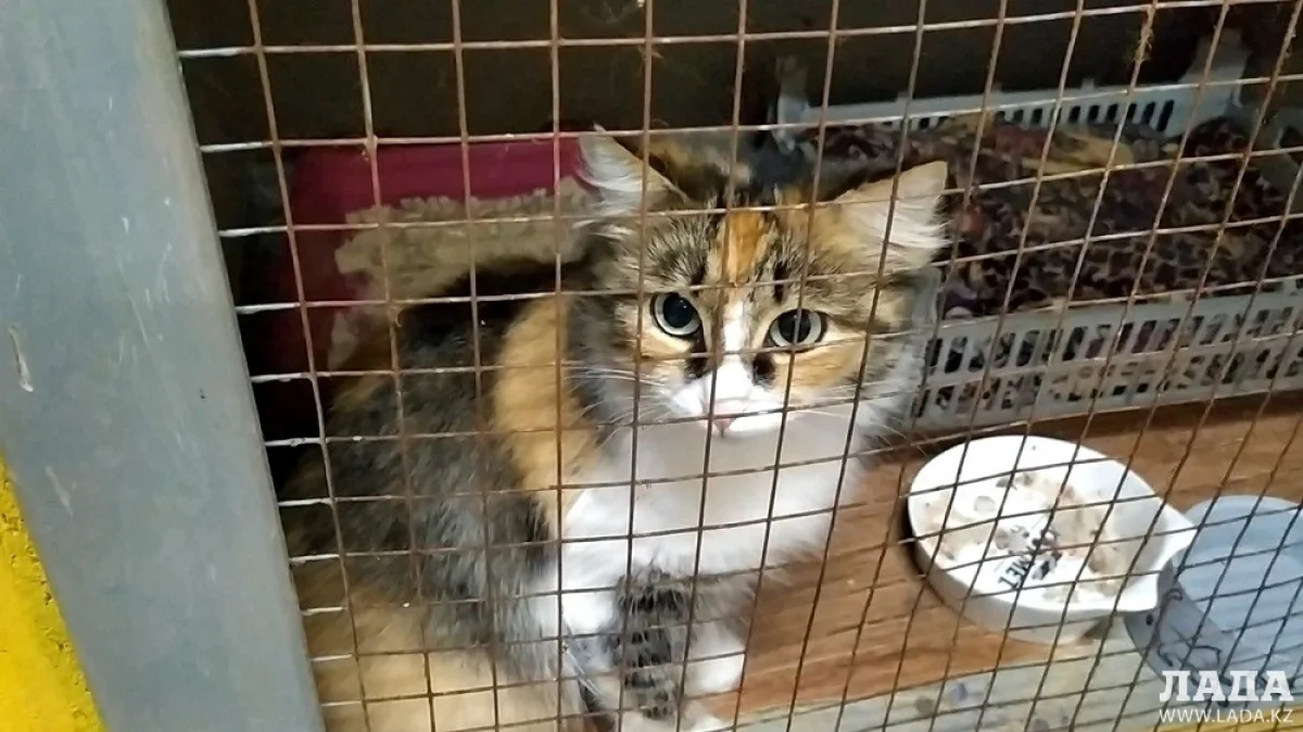 Фото Рашида Исмагилова