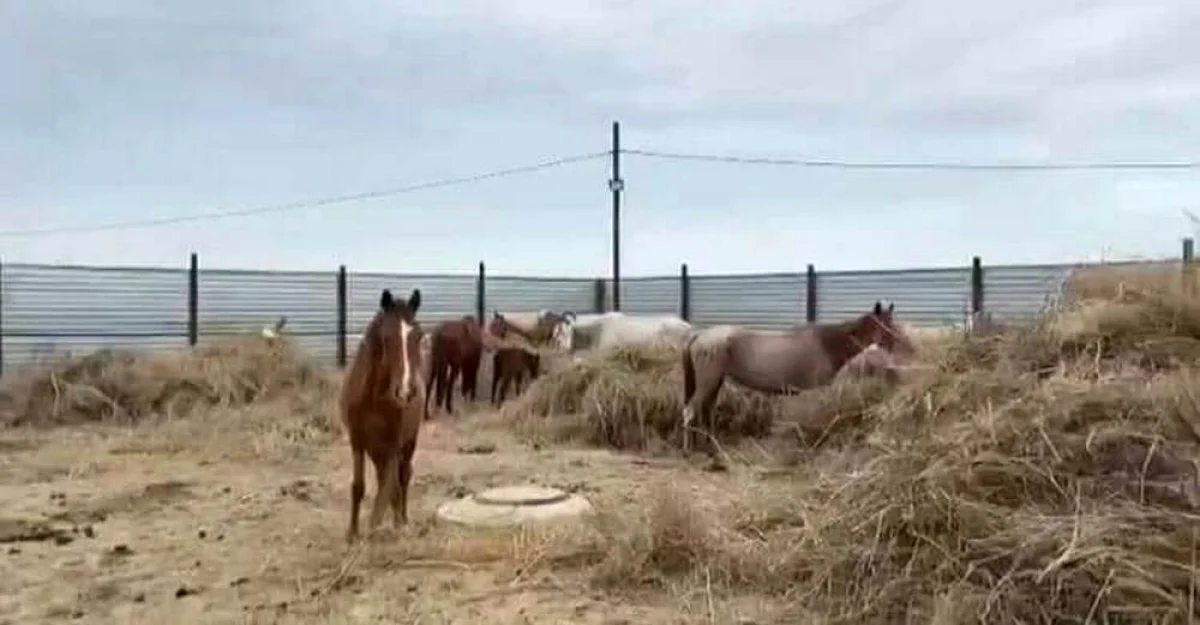 Фото пресс-службы акимата Актау