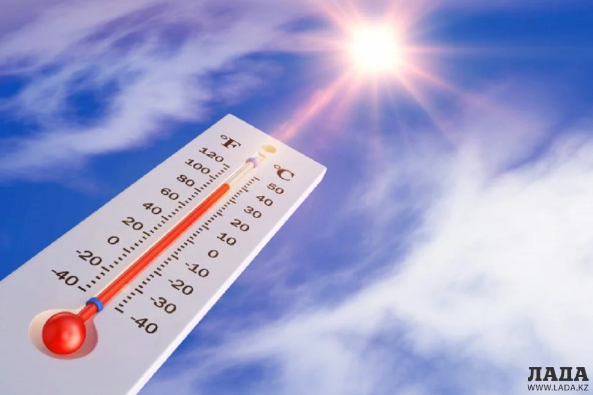 Фото с сайта ru.freepik