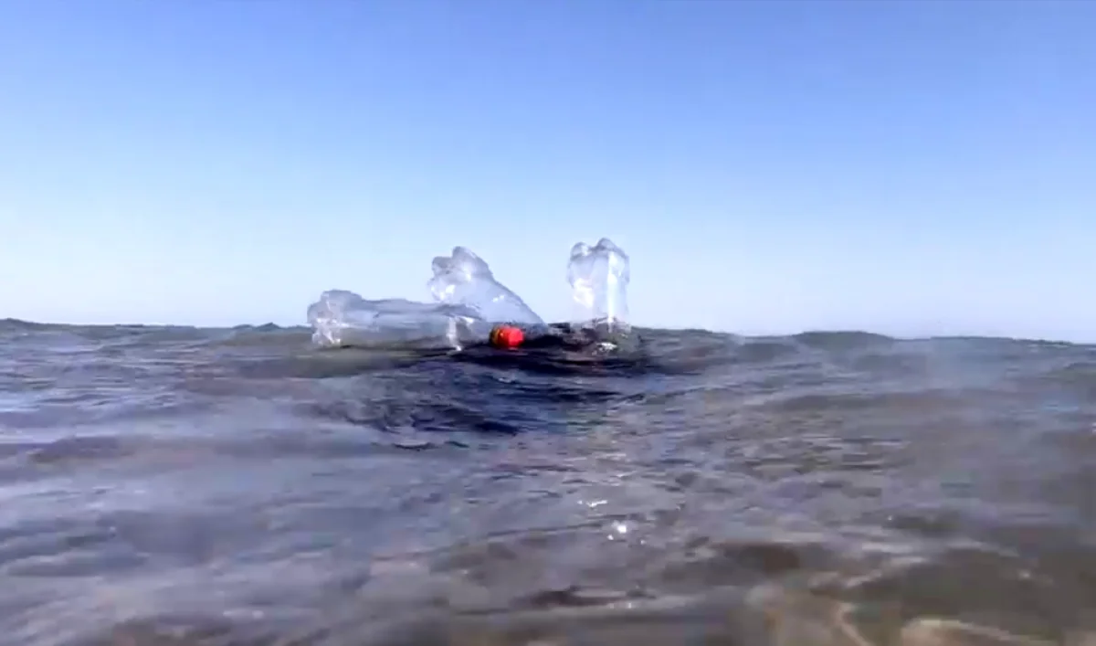 Кадр из фильма