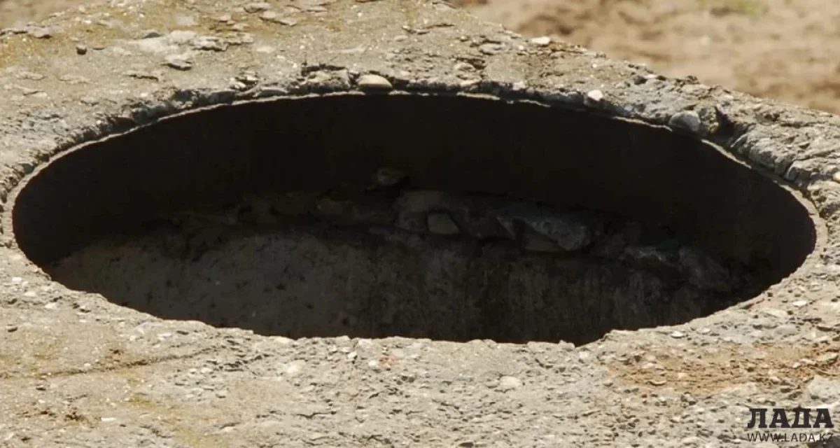 Фото из доступных источников