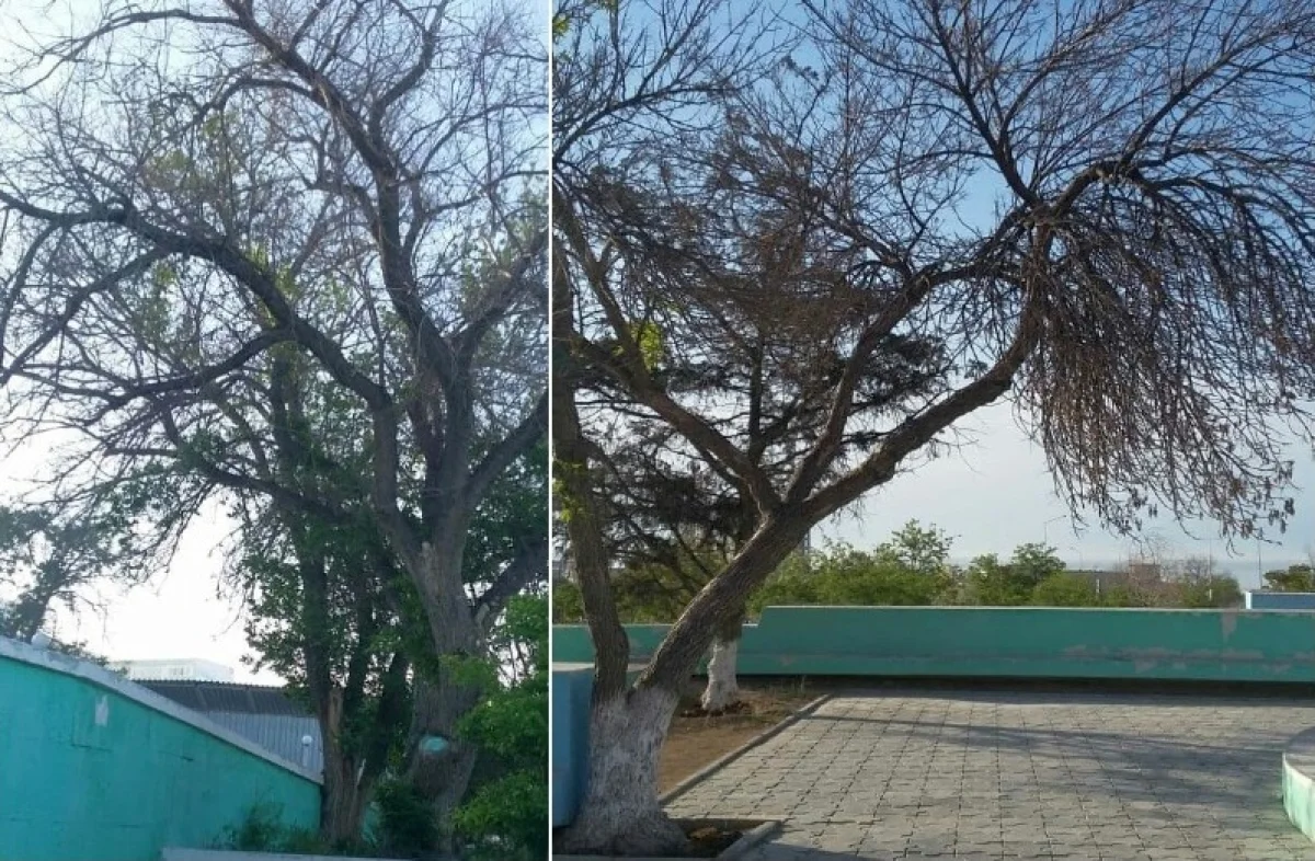 Фото предоставила местная жительница Виктория