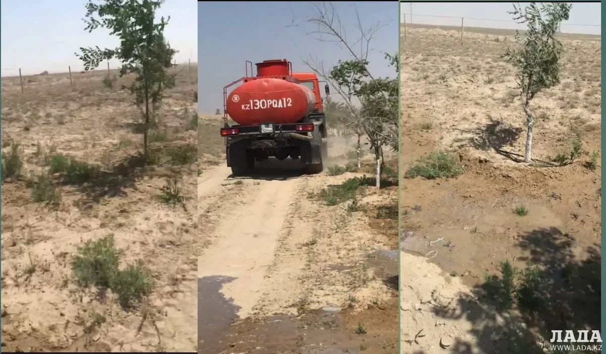 Коллаж из кадров видеоматериала