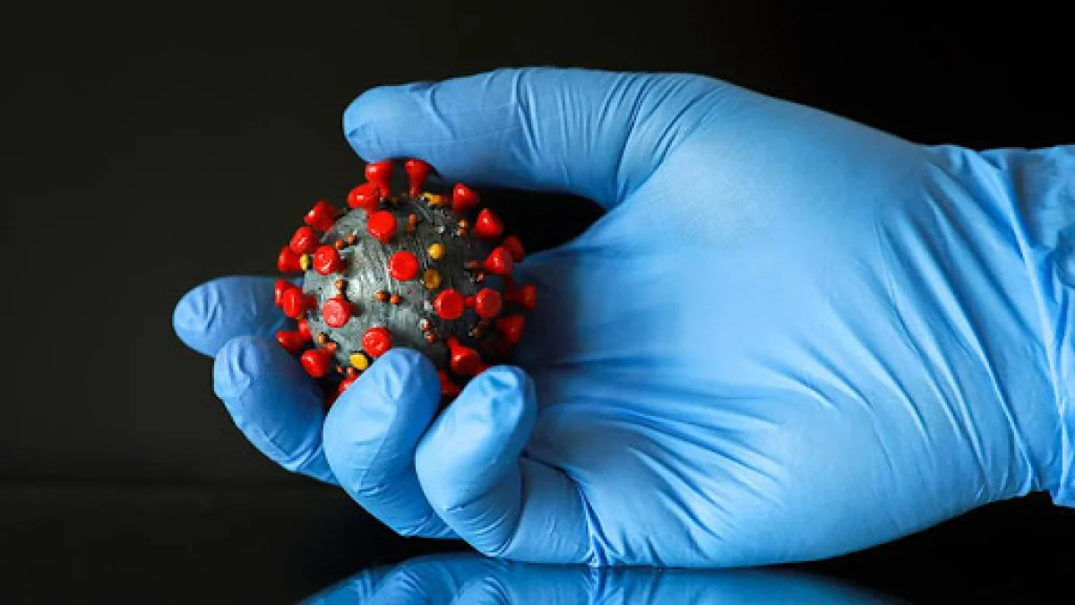 Фото из доступных источников