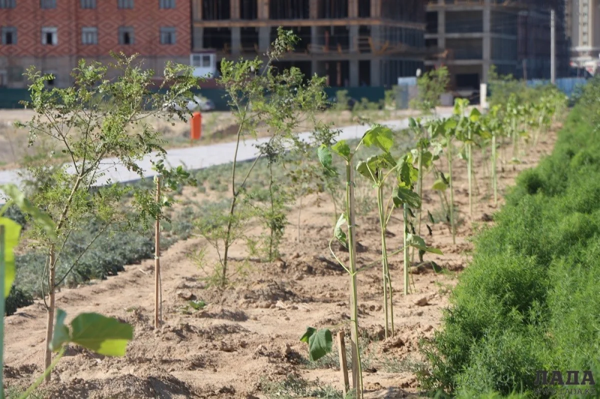 Фото из архива Lada.kz