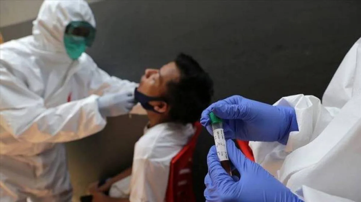 Фото из доступных источников