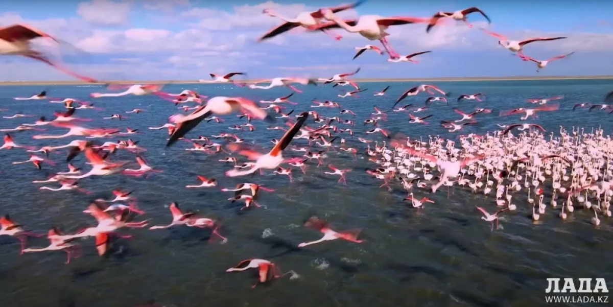 Иллюстративное фото из архива Lada.kz