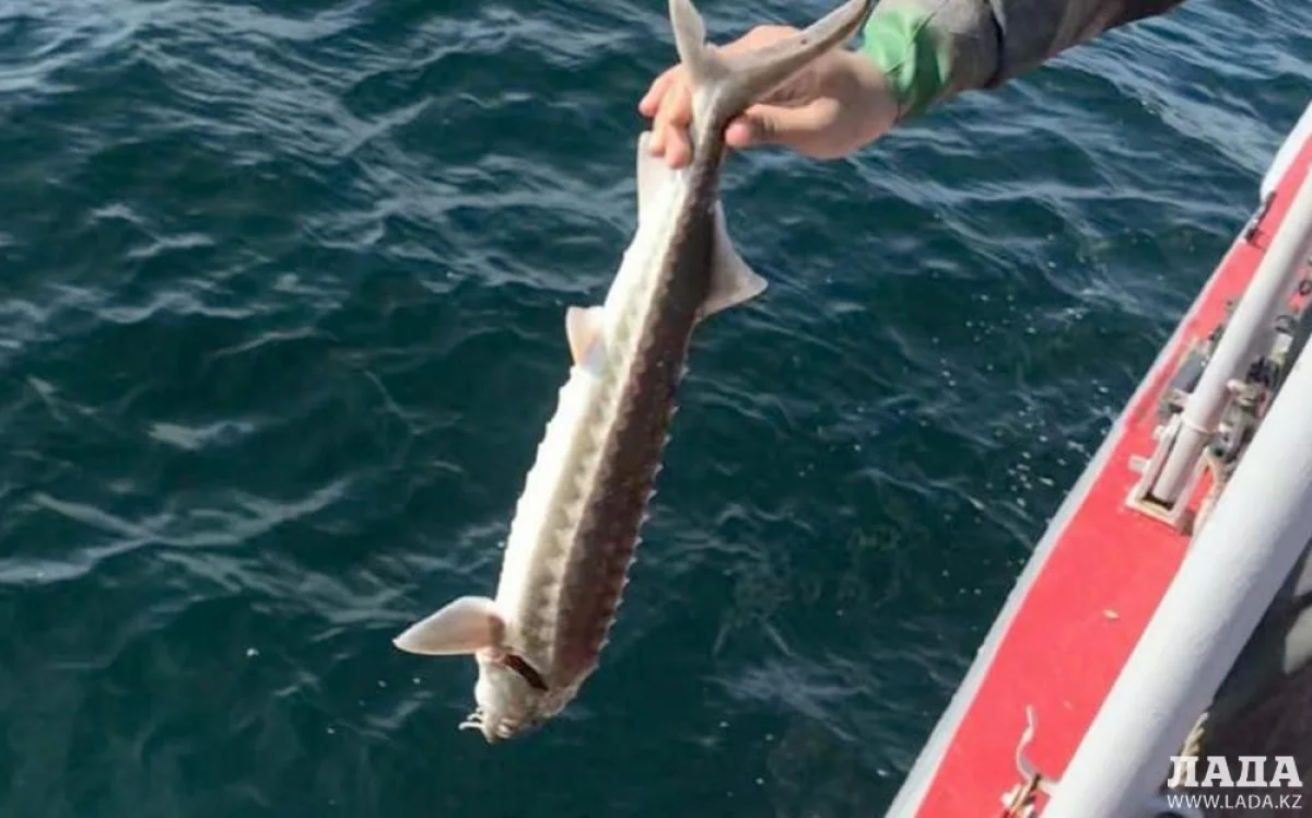 Фото пресс-службы КНб РК