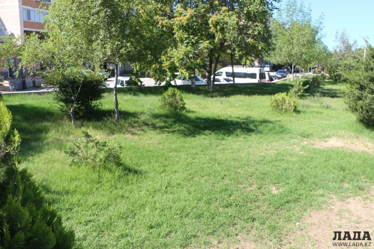 Иллюстративное фото из архива Lada.kz