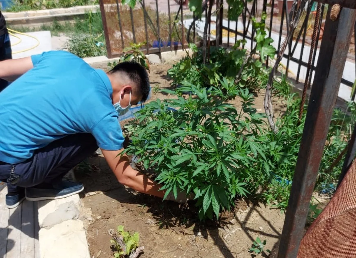 Фото предоставлено пресс-службой департамента полиции Мангистауской области