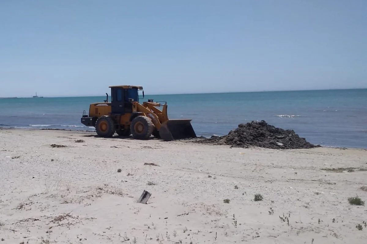 Фото жителя Актау