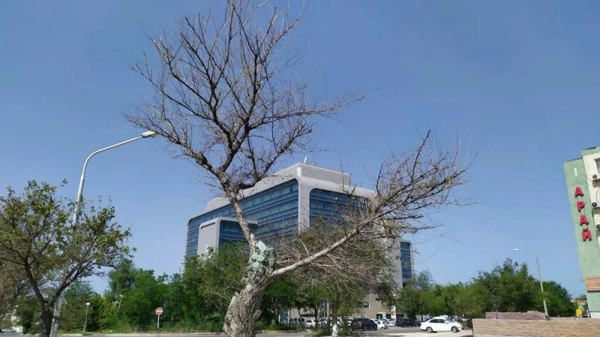 Фото Рашида Исмагилова