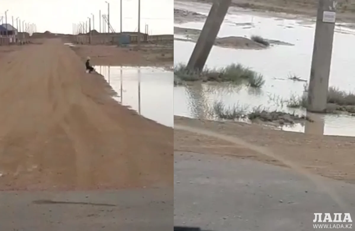 Коллаж из кадров видеоматериала