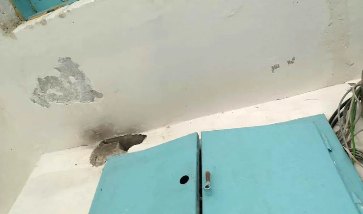 Фото предоставила Орынкуль Мамытаева