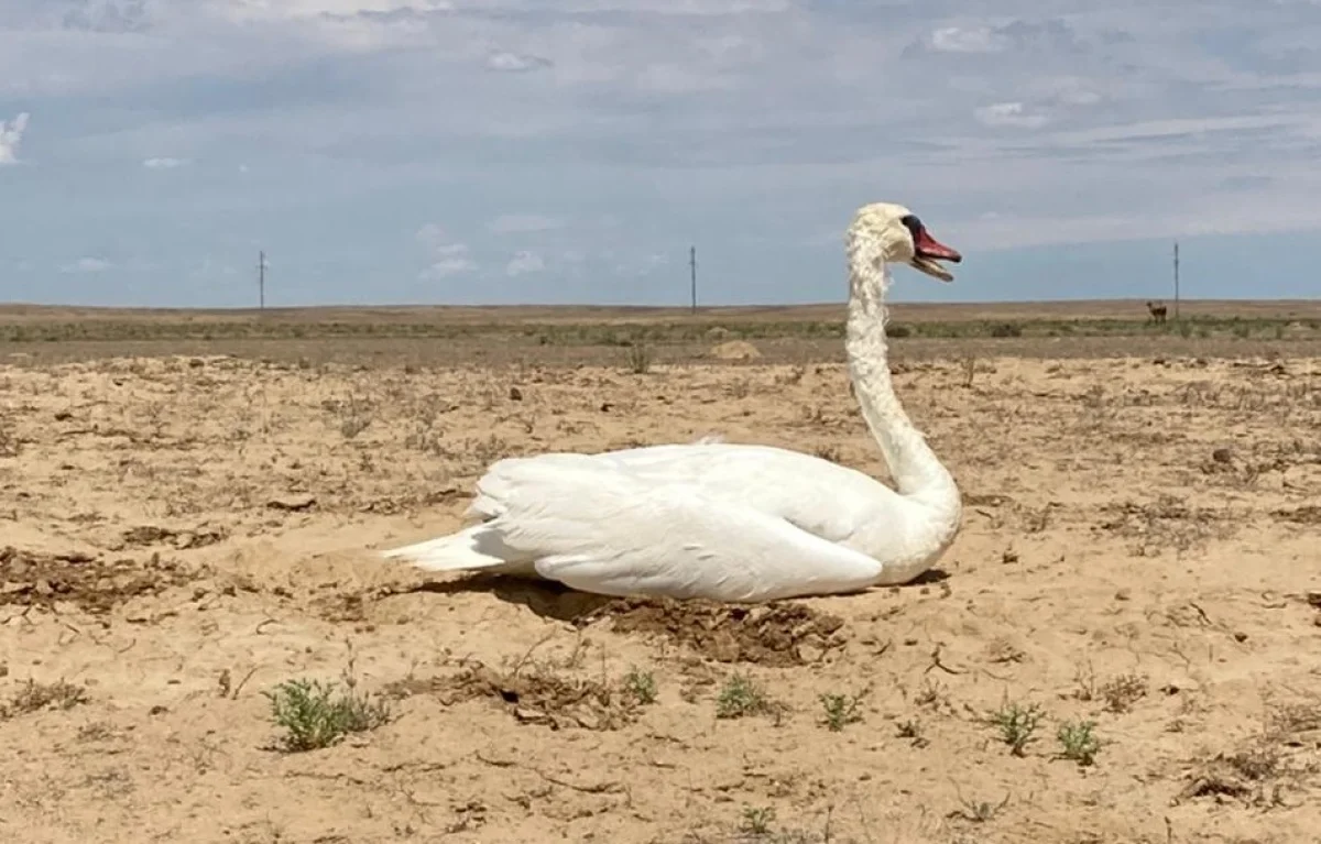 Фото пользователя Lada.kz