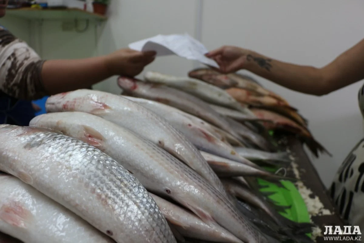 Иллюстративное фото из архива Lada.kz