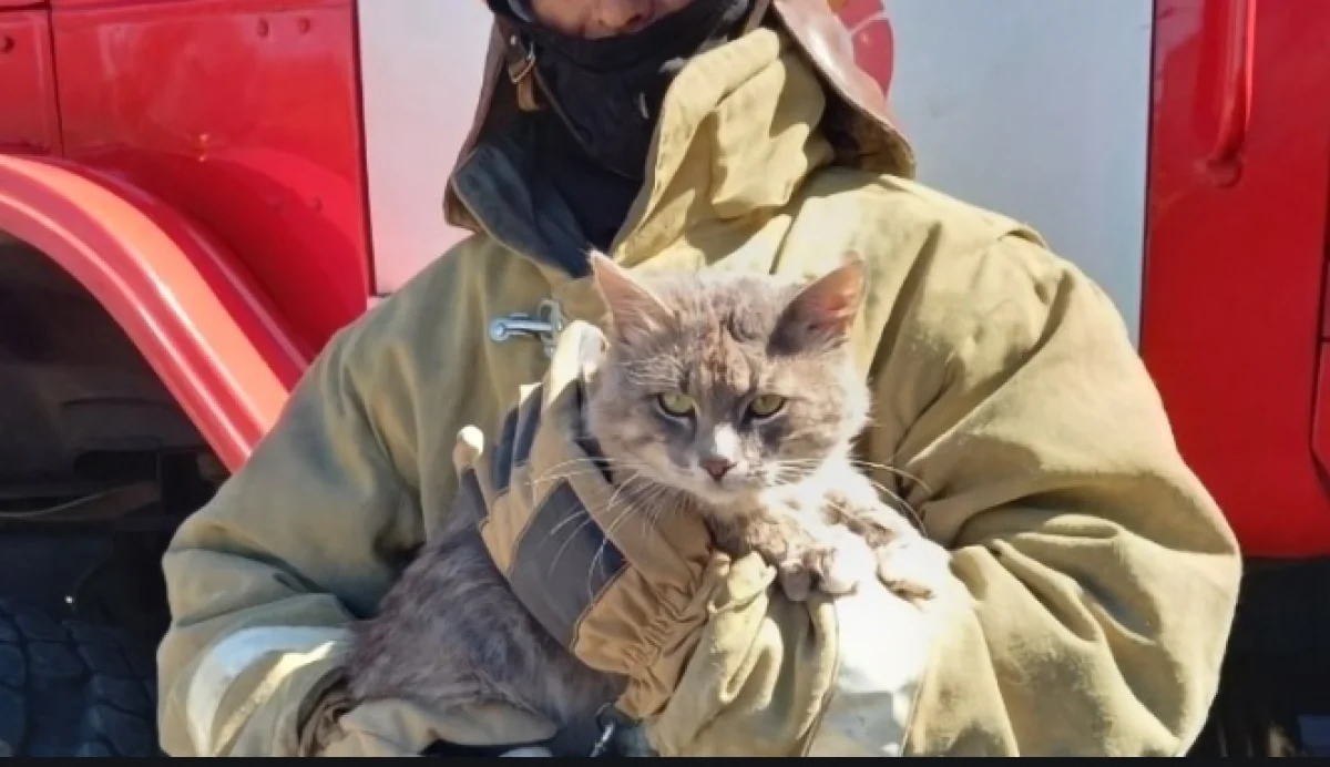 Фото из доступных источников