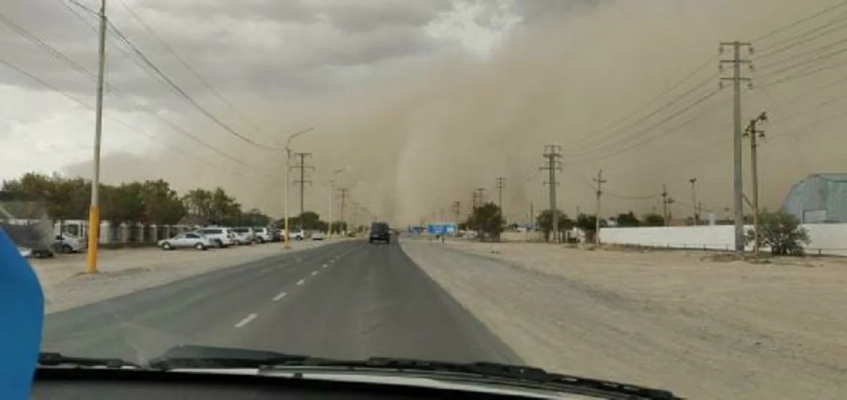 Фото пользователей Сети