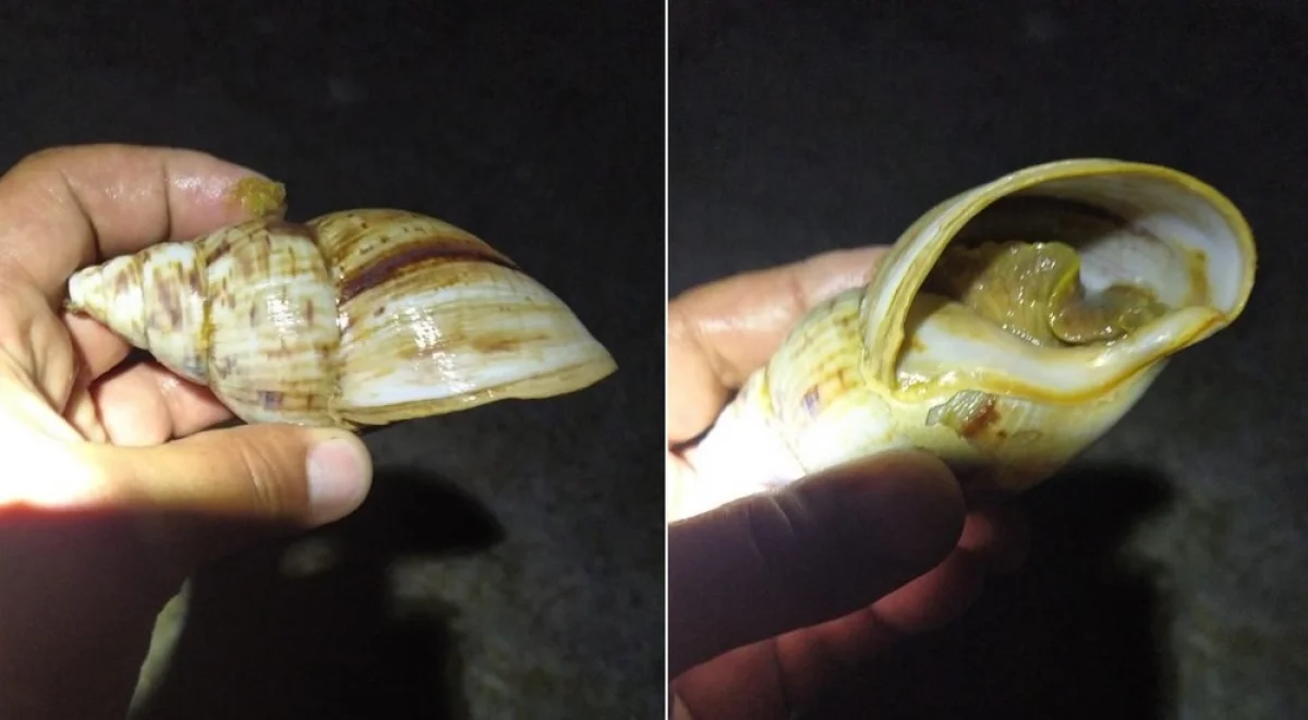 Фото жителей Актау